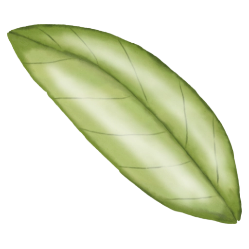 Minimalist and Transparent Design